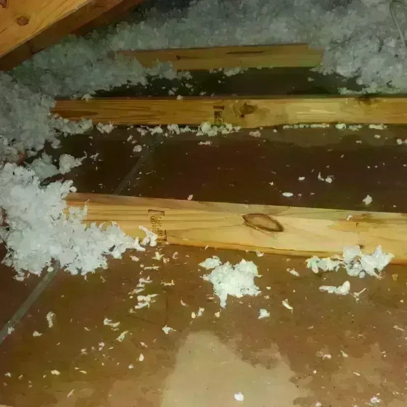 Attic Water Damage in Middlefield, OH